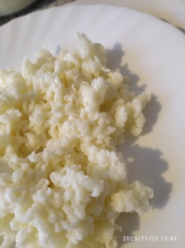 Re: Re: Re: Tibetská kefírová houba  do mléka na jarní očistu a imunitu