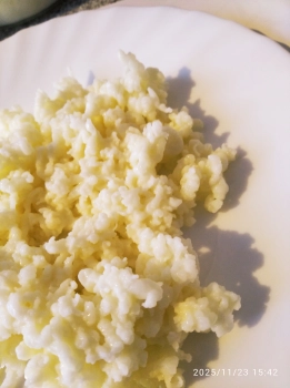 Re: Kefírová houba