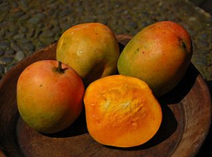 Ovoce mango