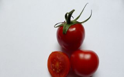 Warfarin a rajčata
