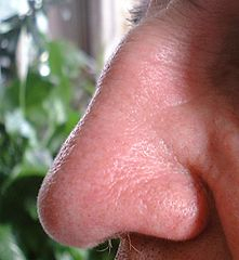 Kvasinky v nose
