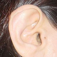Pískání v uších