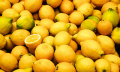 Léčivé účinky citronu