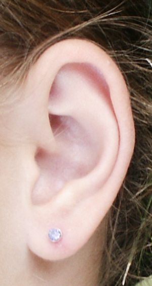 Ucho
