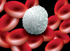 Bílé krvinky a jejich správné hodnoty